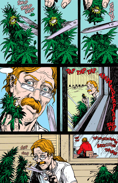 Die Saga von SWAMP THING | Deluxe Edition , Band 1, Rick Veitch Ausgaben