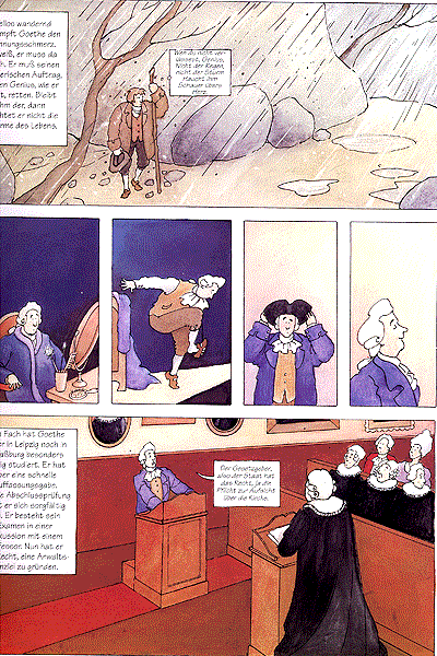 Goethe, Einzelband, Zum sehen geboren | Zum schauen bestellt